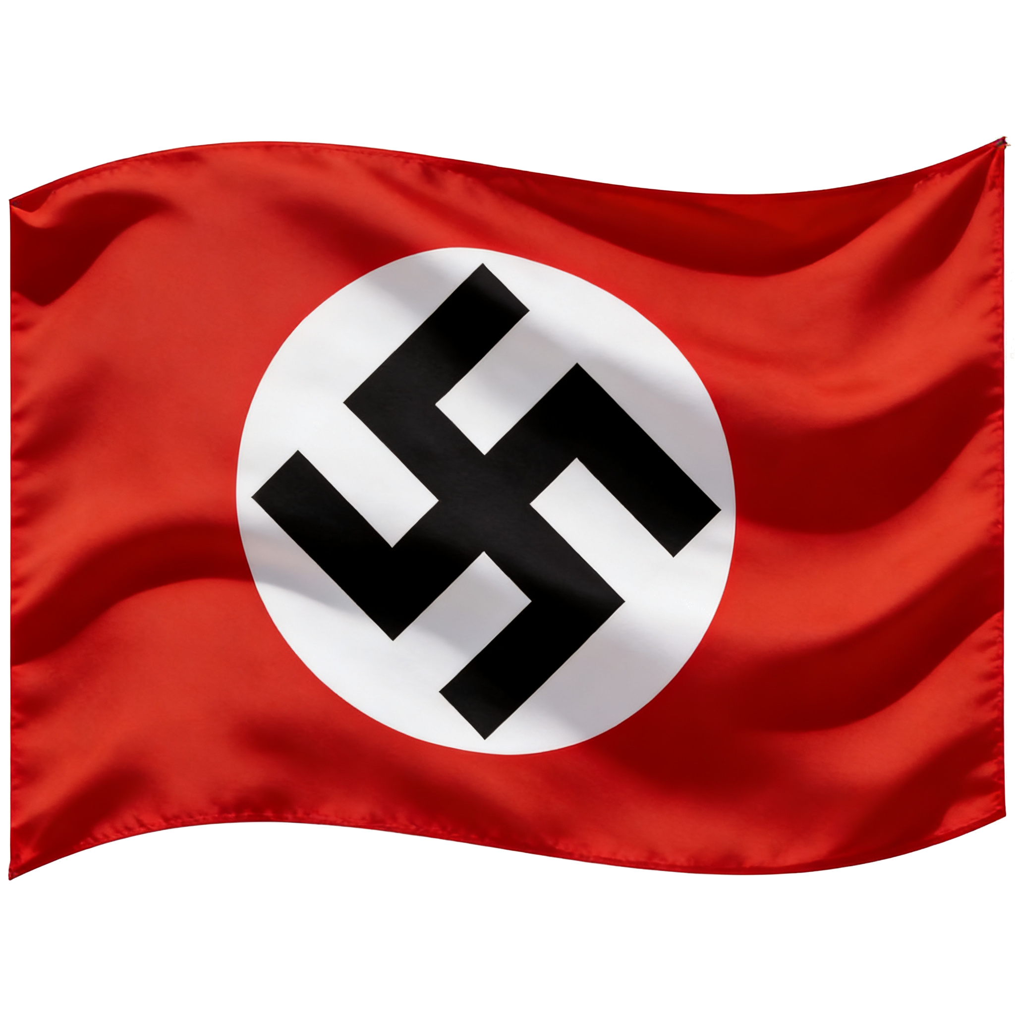 transparent-image.png